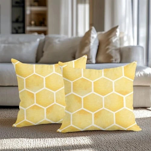 2 PCs Pillow Covers 18x18, Honeycomb Bee Decor Throw Pillow Polychromatic1214