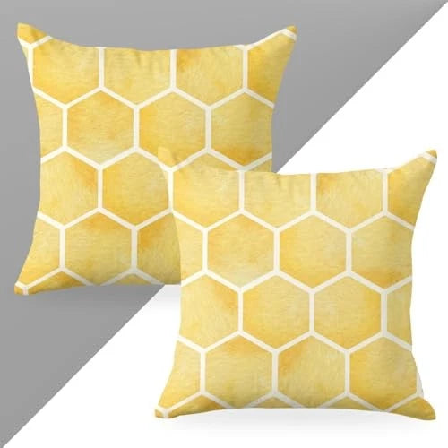 2 PCs Pillow Covers 18x18, Honeycomb Bee Decor Throw Pillow Polychromatic1214